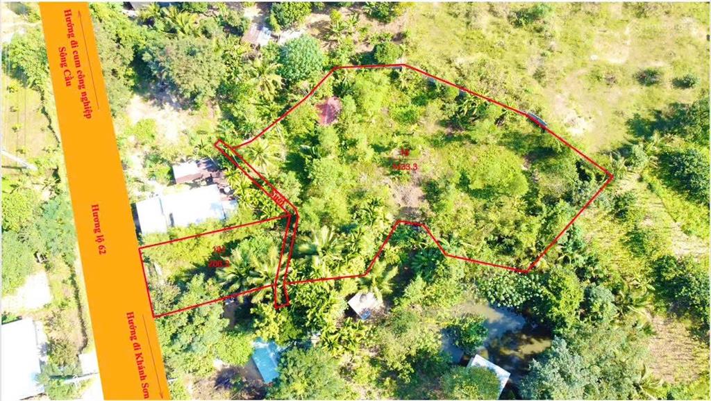 Bán đất tại hương lộ 62, khánh phú, 2,95 tỷ, 1639 m2, giá siêu hời!