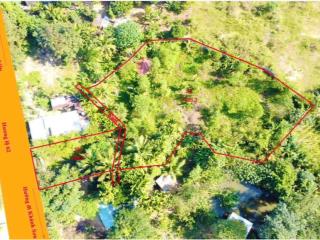 Bán đất tại hương lộ 62, khánh phú, 2,95 tỷ, 1639 m2, giá siêu hời!