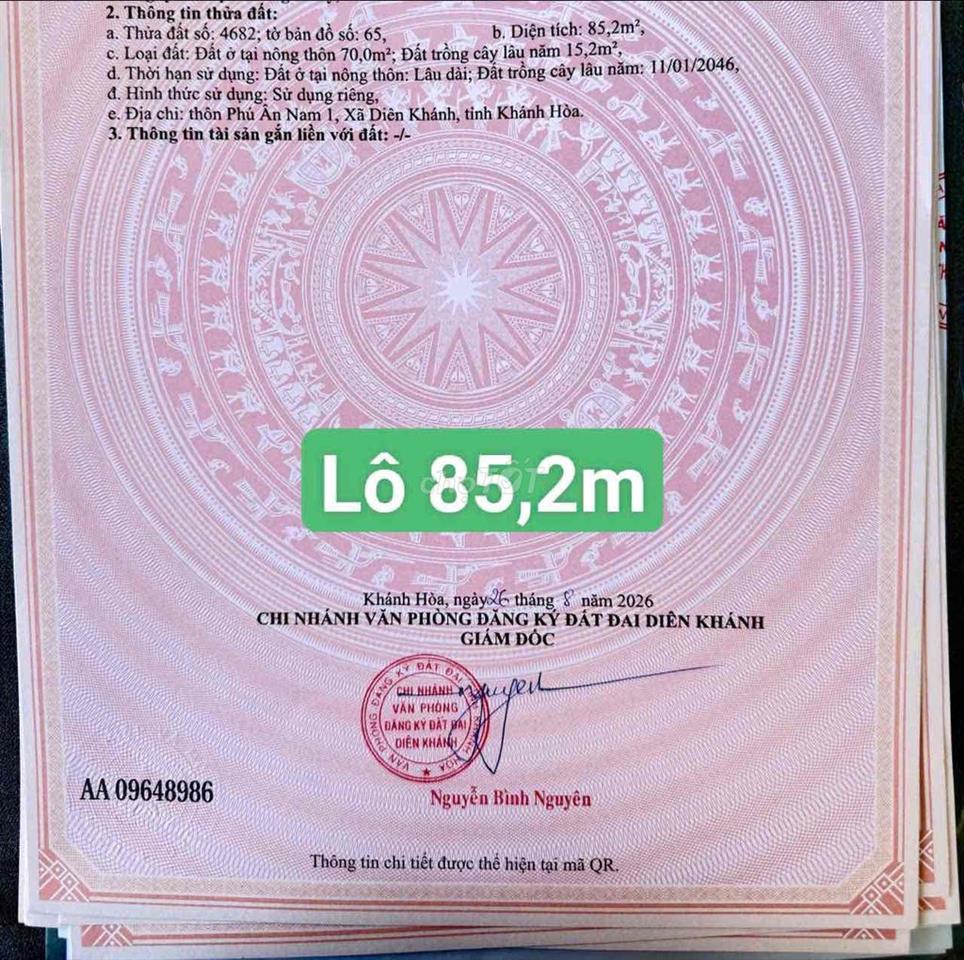 DA163 Bán đất đường oto thôn Phú Ân Nam xã Diên An