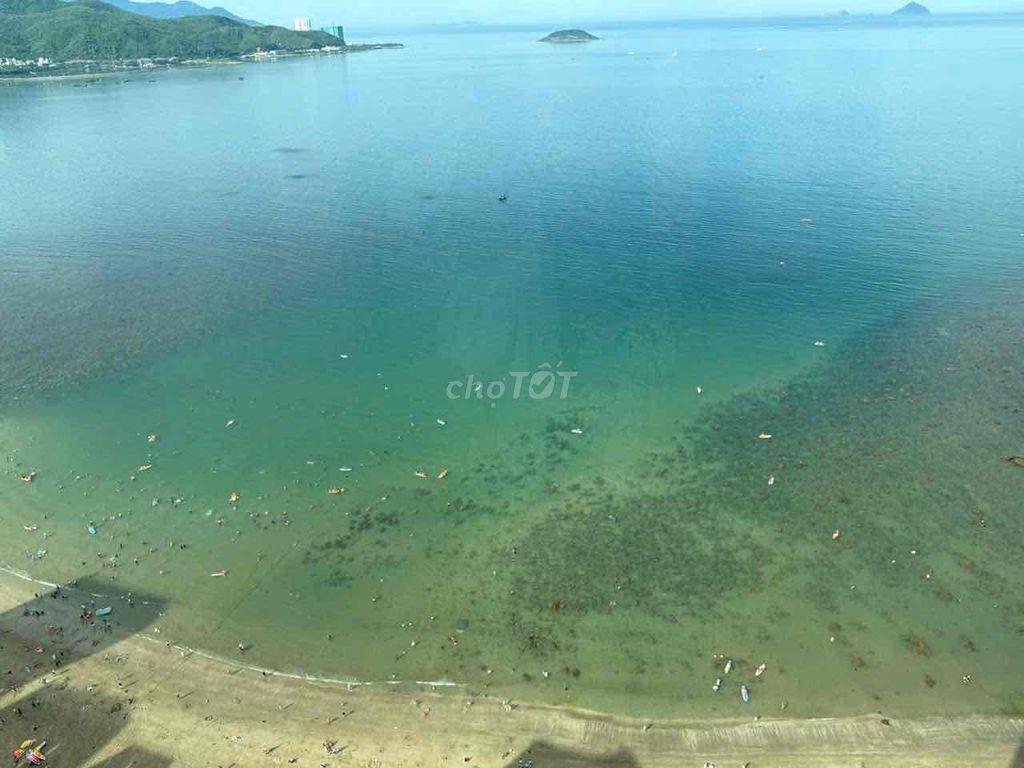 Cho thuê căn hộ view biển tòa OC1A Mường Thanh Viễn Triều Bắc