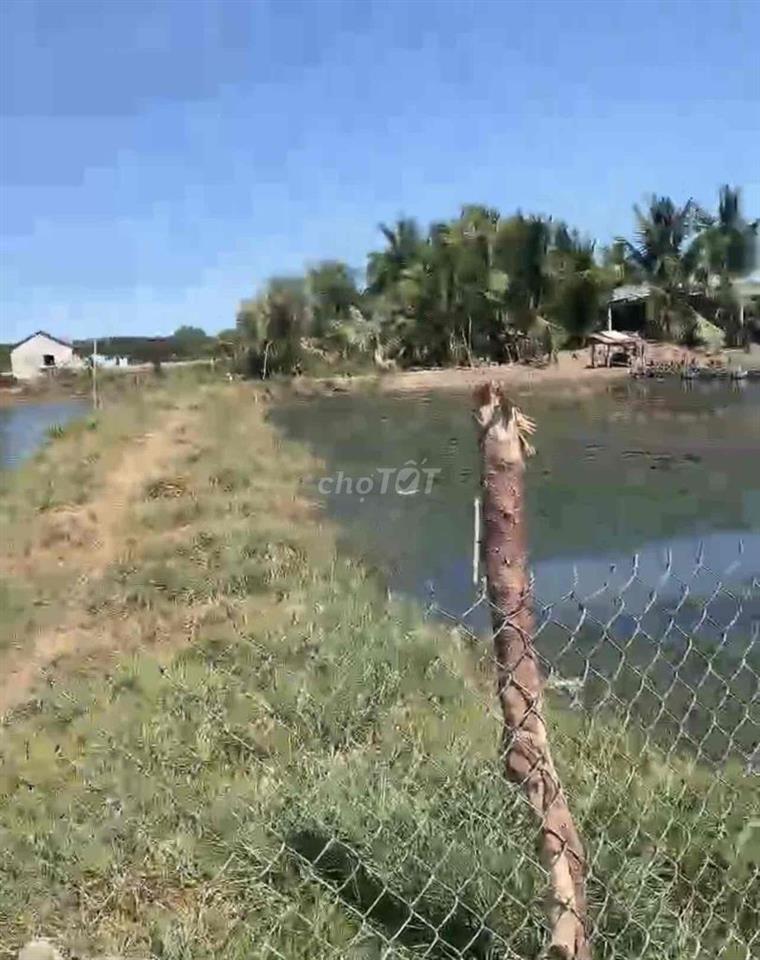 TÔI CHÍNH CHỦ MUỐN BÁN NHANH MIẾNG ĐẤT THỔ CƯ 100m2 gia re