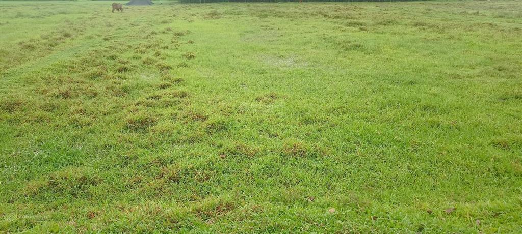 Bán 2 lô đất luk liền kề (hoặc bán theo lô) tổng diện tích 3138,8m2, 45x74m, mặt tiền đường vào 4m