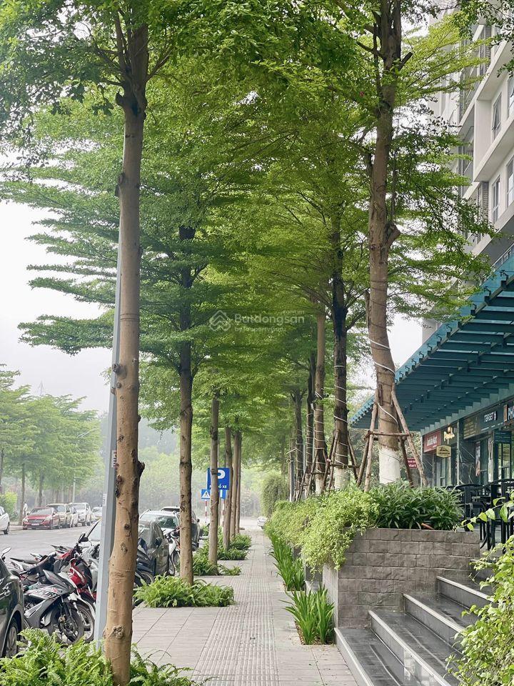 Qũy hàng cho thuê 123pn đầy đủ nhất tại mỹ đình pearl t5.  em ạ.