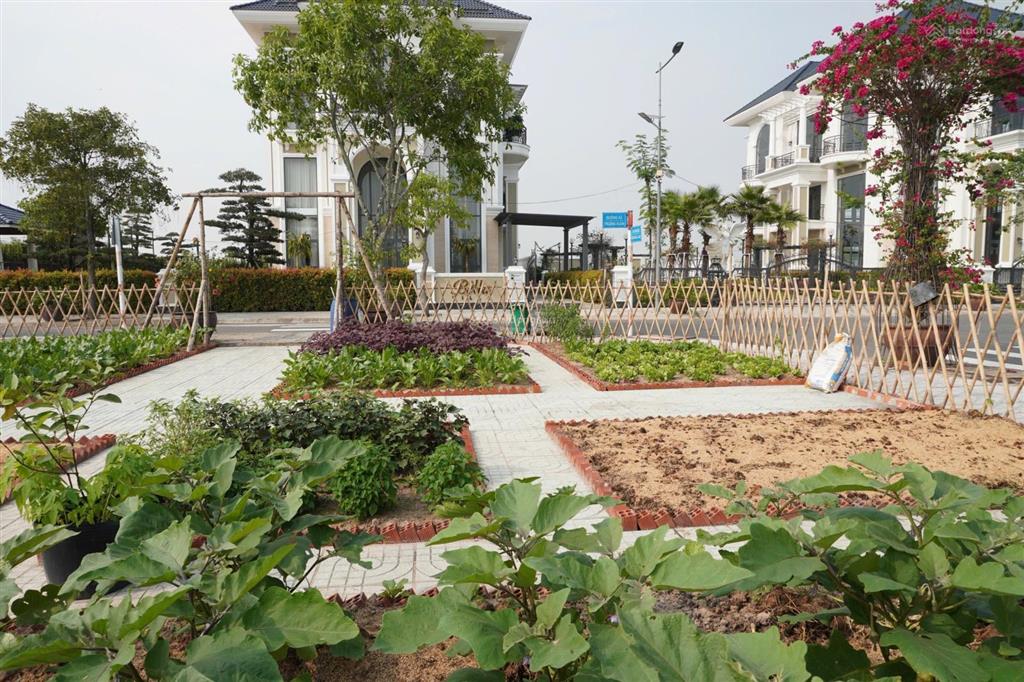 Chính chủ cần bán 1 cặp đất nền dự án tiến lộc garden cửa chính sân bay. tiện xây dựng căn hộ dv