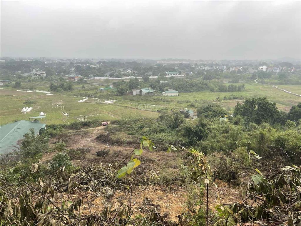 Bán đất tại đồng chằm, quốc oai, hà nội, 11 triệu/m2, 88157 m2 đẹp xuất sắc