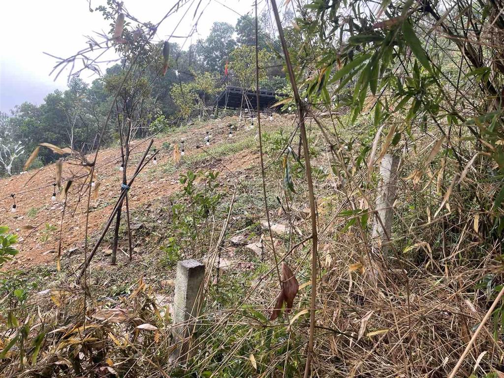 Bán đất tại đồng chằm, quốc oai, hà nội, 11 triệu/m2, 88157 m2 đẹp xuất sắc