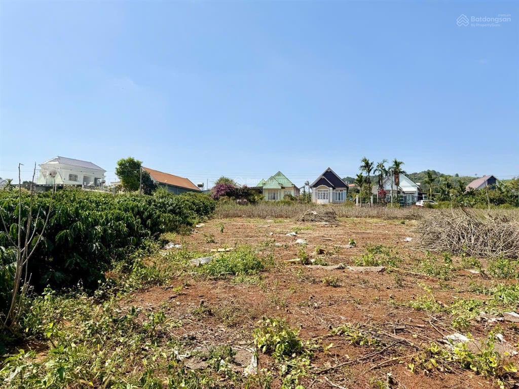 Nam ban lâm hà dt 160m2 mặt tiền bê tông 6.5m kdc đông giáp đà lạt 10km chỉ 699tt