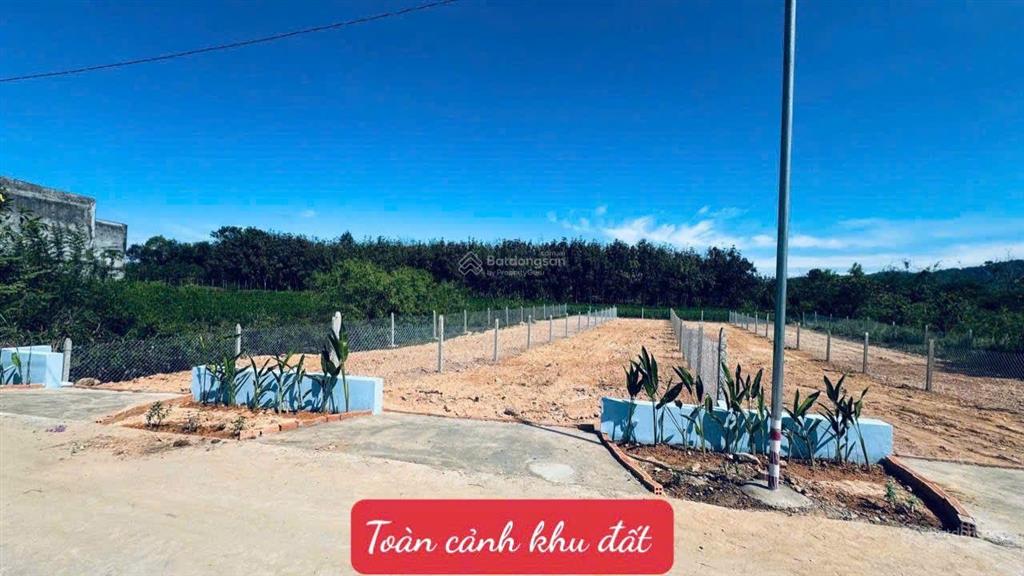 Đất sát thị trấn đạ tẻh lâm đồng dt 6*45m full thổ cư đường bê tông tặng hàng rào chỉ 309tr