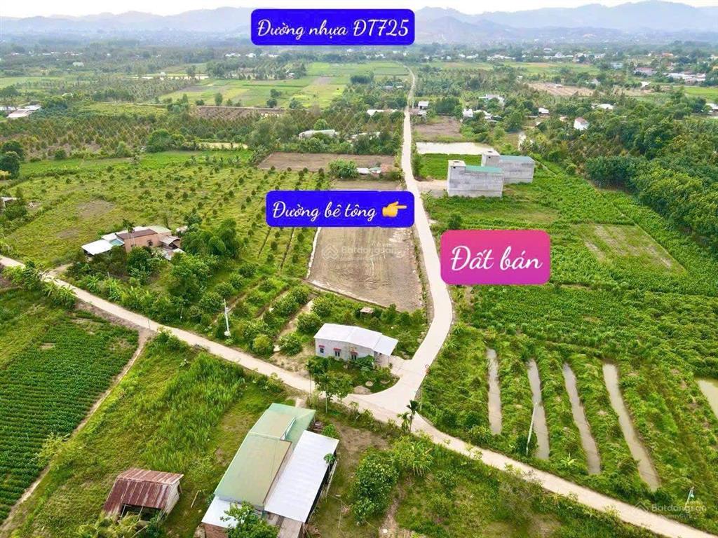 Đất sát thị trấn đạ tẻh lâm đồng dt 6*45m full thổ cư đường bê tông tặng hàng rào chỉ 309tr