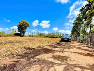 Siêu phẩm đất chill cánh đồng kdc giàu có đường oto tới đất tiện ích đầy đủ quanh đất đất sẵn thổ