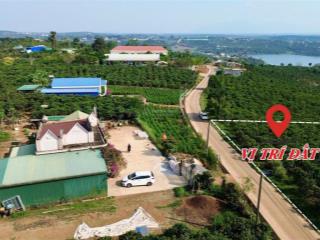 Phúc thọ lâm đồng dt hơn 300m2 sẵn thổ cư mặt tiền 7m đường bê tông kdc đủ tiện giá chỉ 3xxtr