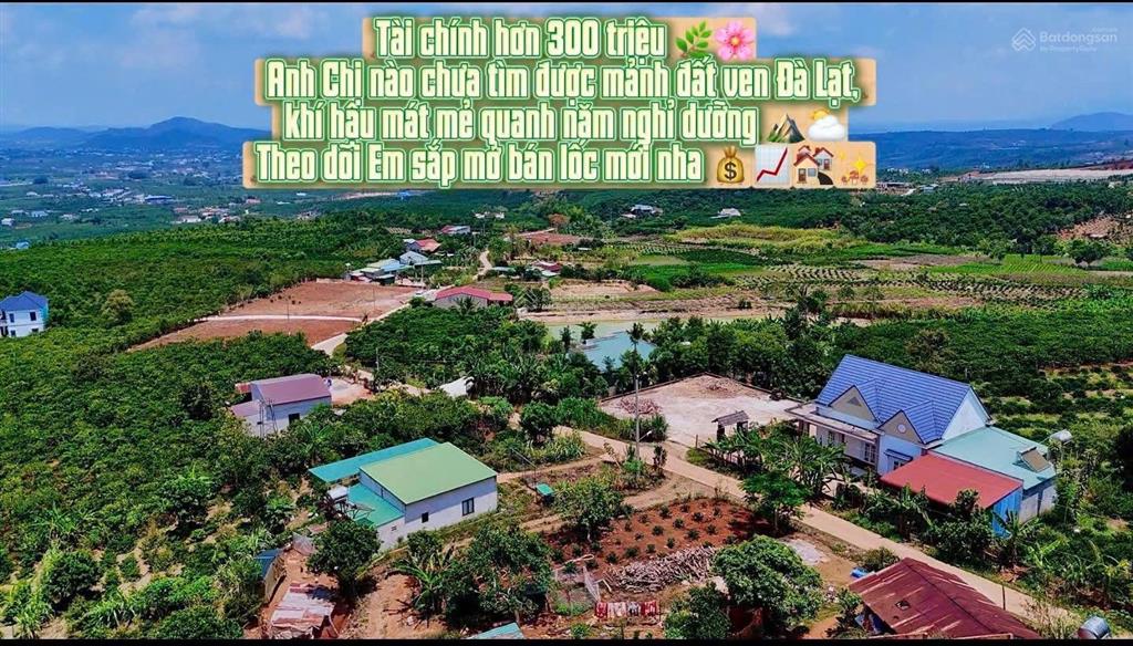 Tân hà lâm hà lâm đồng dt 145,5m2 full thổ kdc đông đường nhựa tới đất giá chỉ 333tr/lô bao sổ