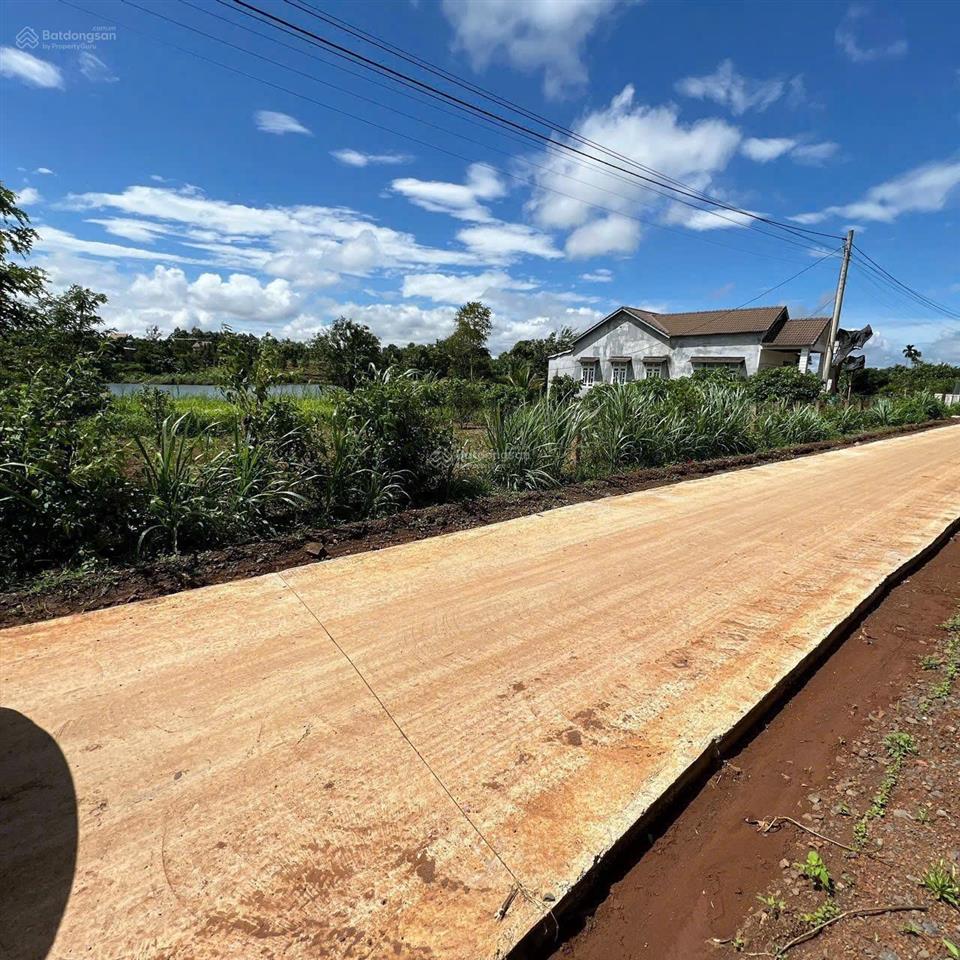 Đất giáp hồ đội 43 siêu đẹp dt 7*42,4m sẵn thổ đường bê tông tới đất kdc đông đúc giá chỉ 550tr/lô