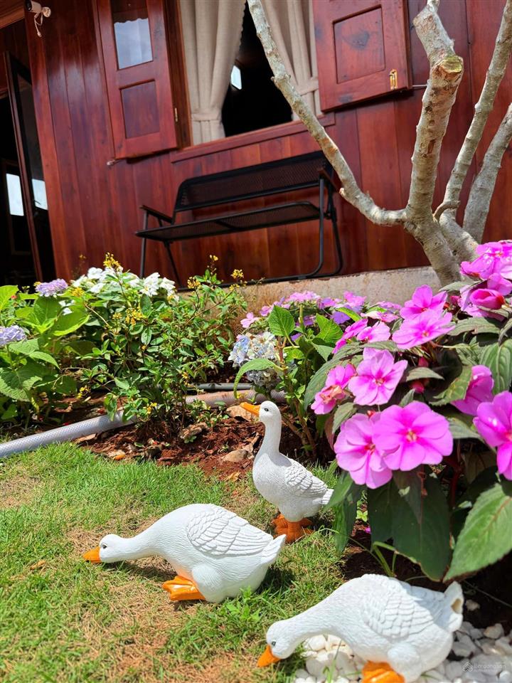 Bán căn nhà mới xây 2pn, có sân vườn rộng sân bbq full nội thất chỉ xách vali vào ở giá 999tr