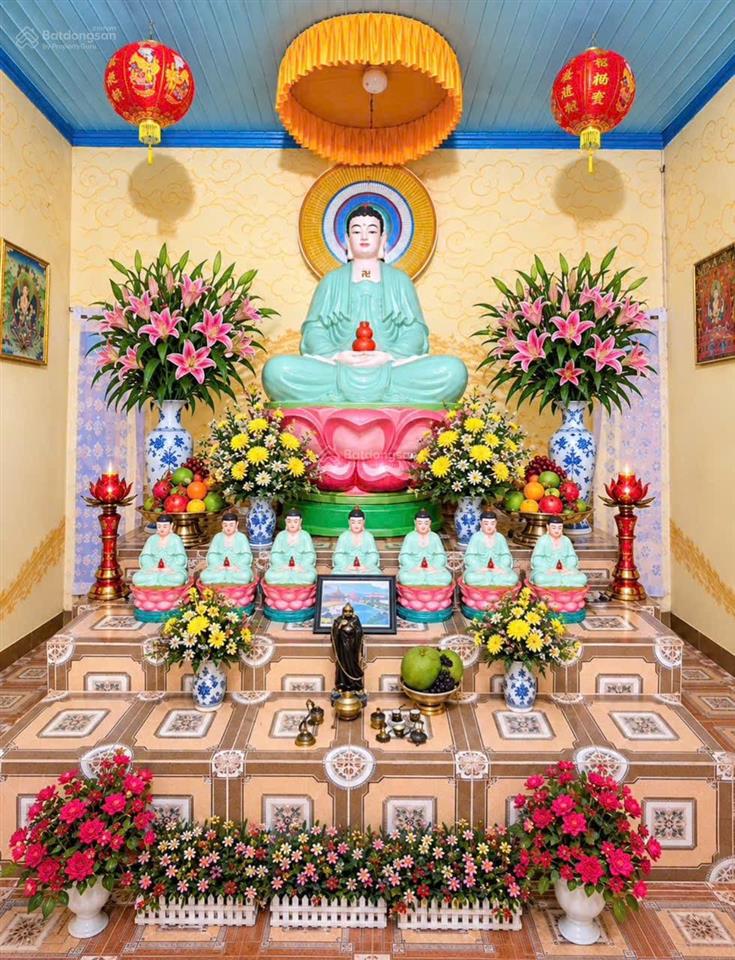 Chủ cần tiền giảm từ 25 tỷ còn 16 tỷ farm sầu riêng và cây ăn trái cùng toàn bộ hạ tầng