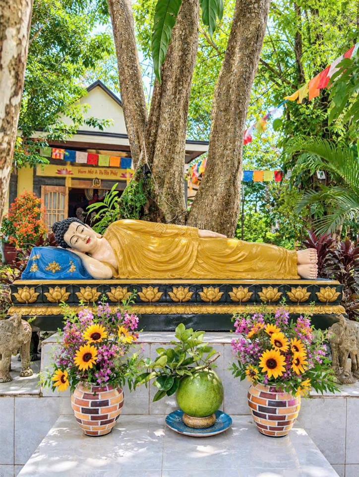 Chủ cần tiền giảm từ 25 tỷ còn 16 tỷ farm sầu riêng và cây ăn trái cùng toàn bộ hạ tầng