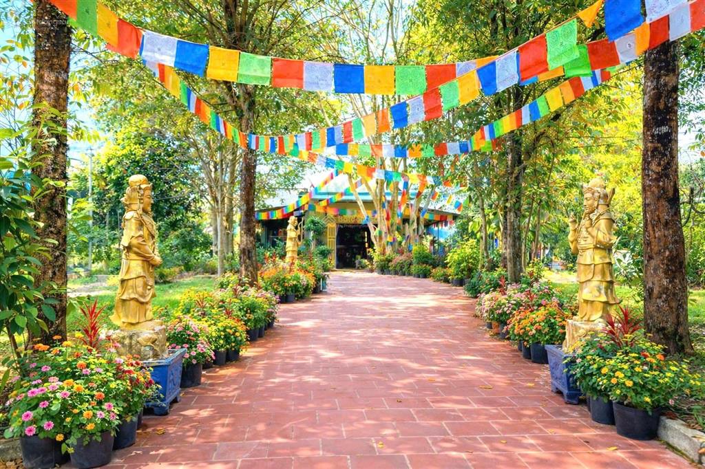 Chủ cần tiền giảm từ 25 tỷ còn 16 tỷ farm sầu riêng và cây ăn trái cùng toàn bộ hạ tầng