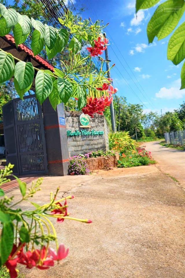 Chủ cần tiền giảm từ 25 tỷ còn 16 tỷ farm sầu riêng và cây ăn trái cùng toàn bộ hạ tầng