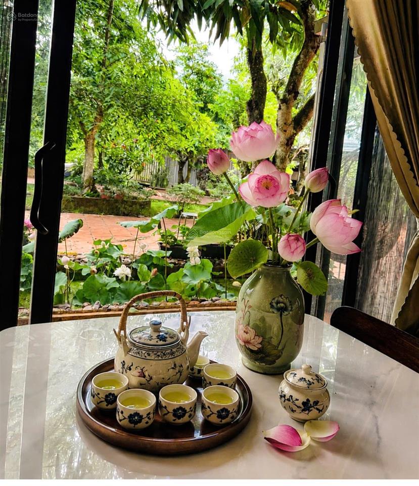 Chủ cần tiền giảm từ 25 tỷ còn 16 tỷ farm sầu riêng và cây ăn trái cùng toàn bộ hạ tầng