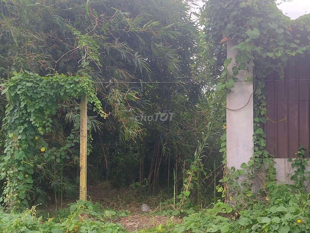 Bán đất mặt tiền võ văn kiệt 