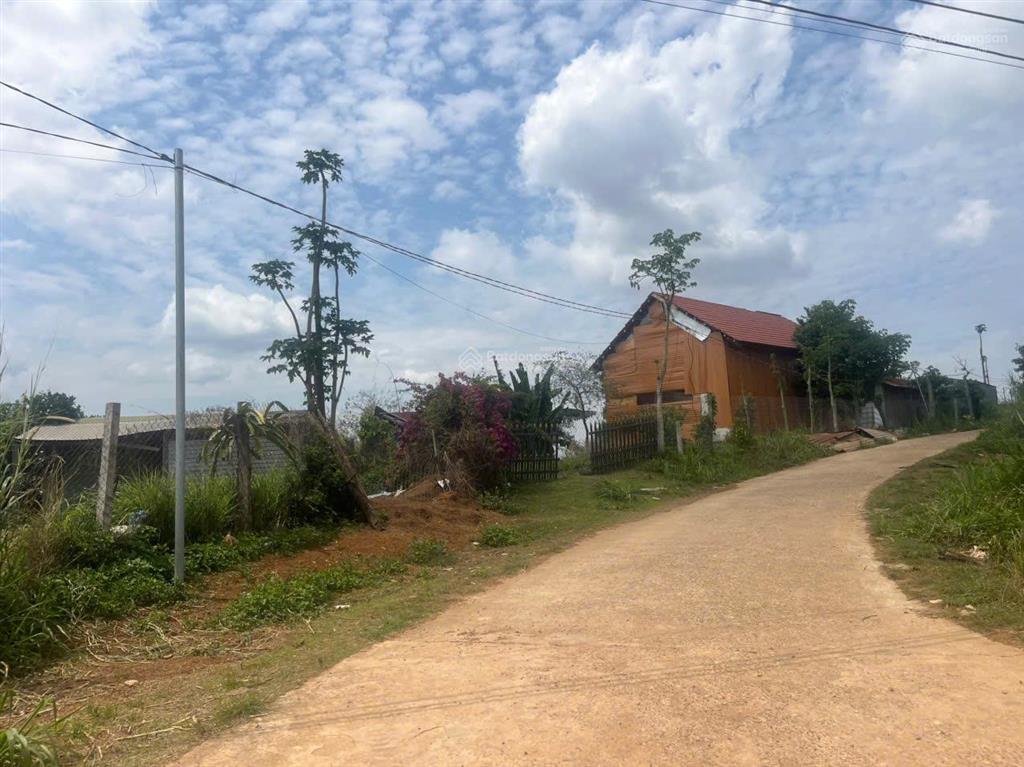 Thiên đường nghỉ dưỡng cạnh tà đùng  trang trại rộng 2.4ha, có nguồn thu cà 12 tấn/năm