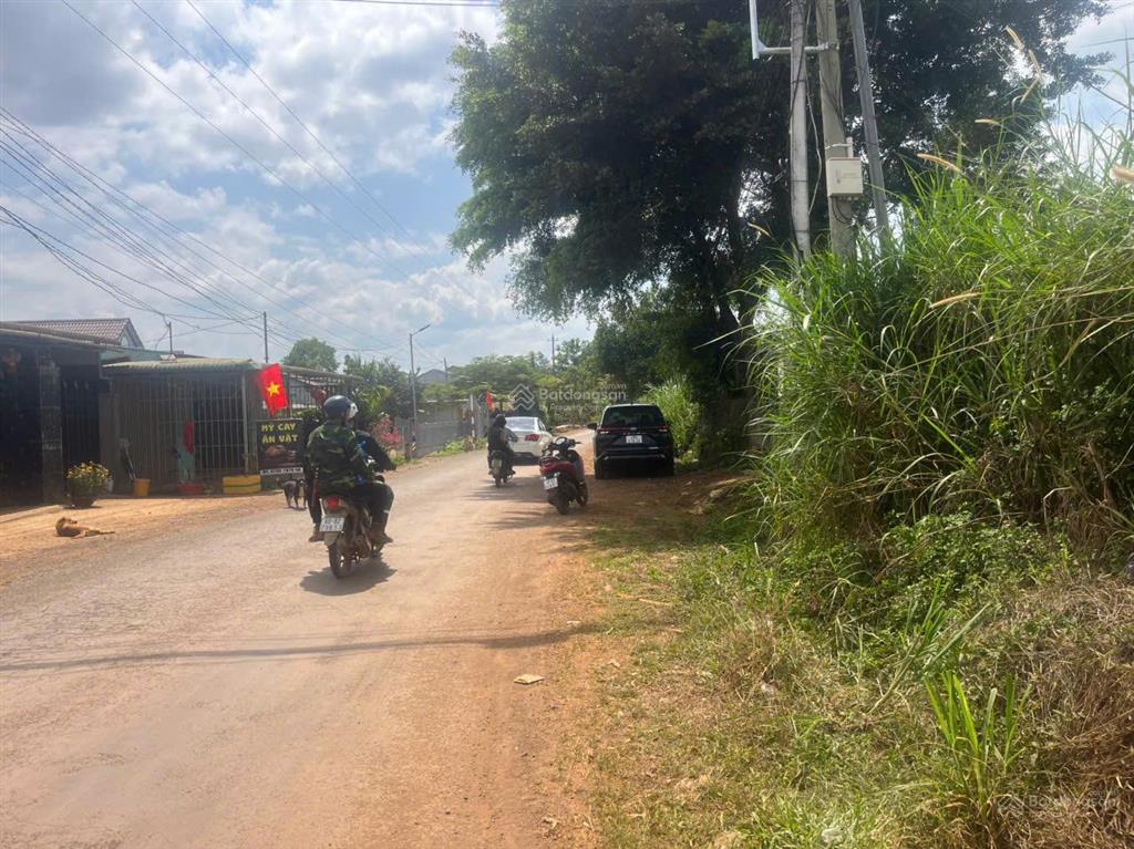 Thiên đường nghỉ dưỡng cạnh tà đùng  trang trại rộng 2.4ha, có nguồn thu cà 12 tấn/năm
