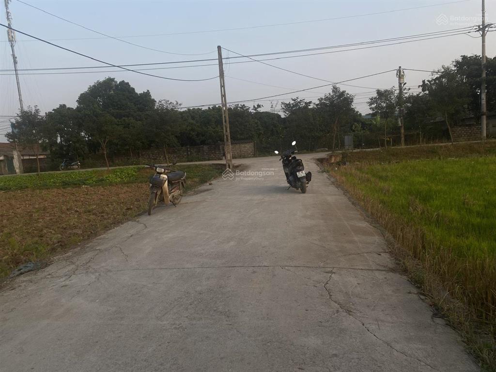 Bán lô đất nông nghiệp tại long châu sơn, phường chương mỹ (xã phụng châu cũ), tp hà nội.