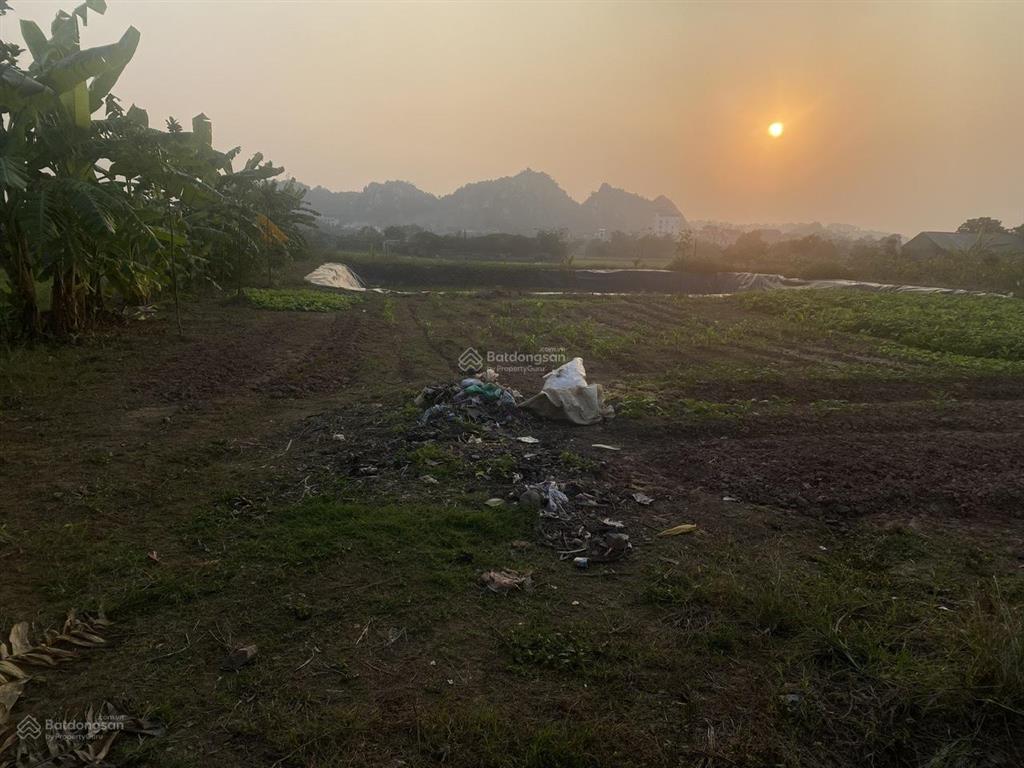 Bán lô đất nông nghiệp tại long châu sơn, phường chương mỹ (xã phụng châu cũ), tp hà nội.