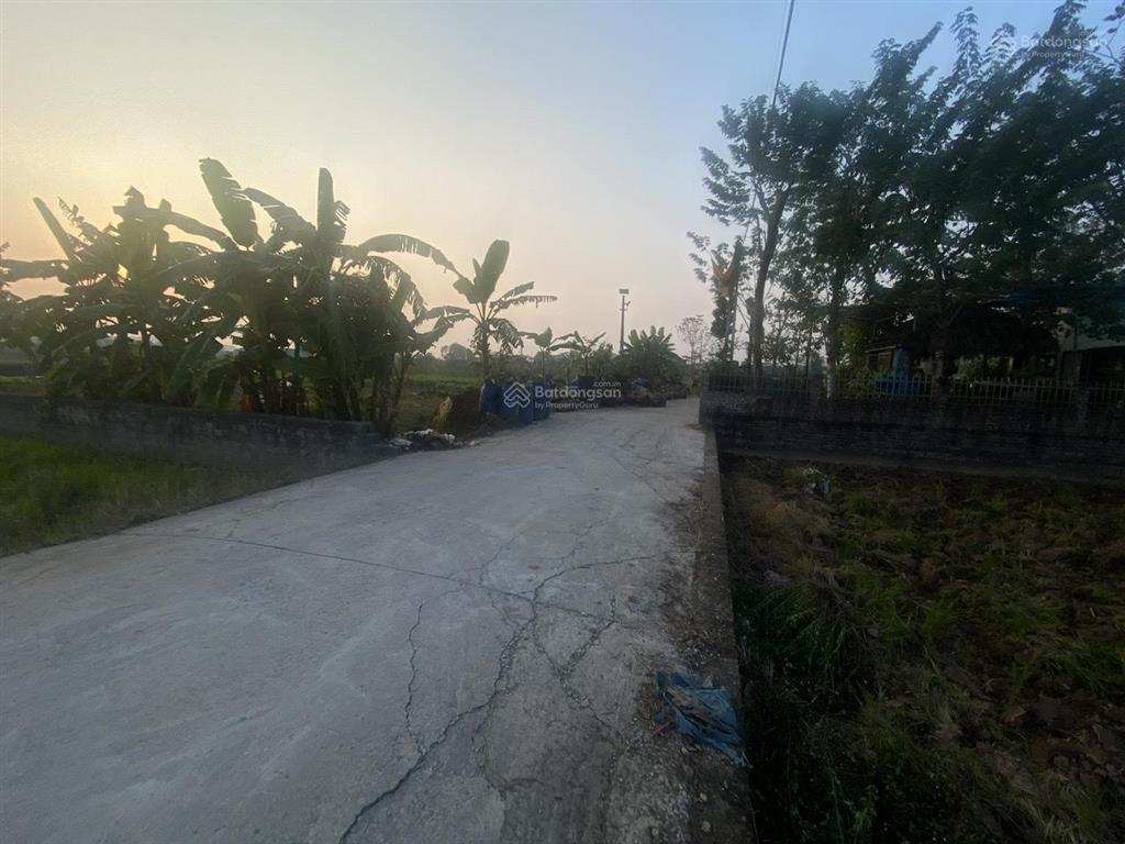 Bán lô đất nông nghiệp tại long châu sơn, phường chương mỹ (xã phụng châu cũ), tp hà nội.