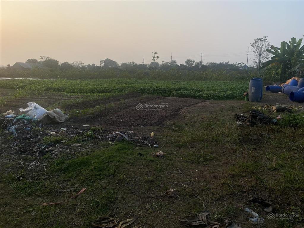 Bán lô đất nông nghiệp tại long châu sơn, phường chương mỹ (xã phụng châu cũ), tp hà nội.