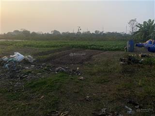 Bán lô đất nông nghiệp tại long châu sơn, phường chương mỹ (xã phụng châu cũ), tp hà nội.