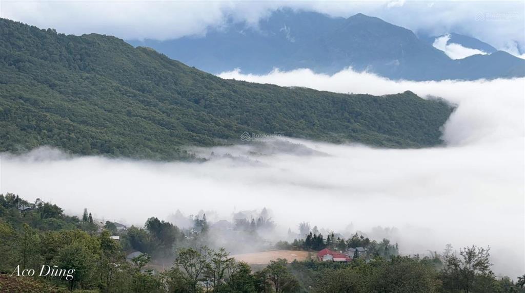 Bán 2236m2 đất y tý có sẵn bìa đỏ. mua bán cc ngay