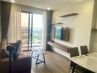Chính chủ cần cho thuê căn hộ fpt plaza3, có cho khách nước ngoài thuê
