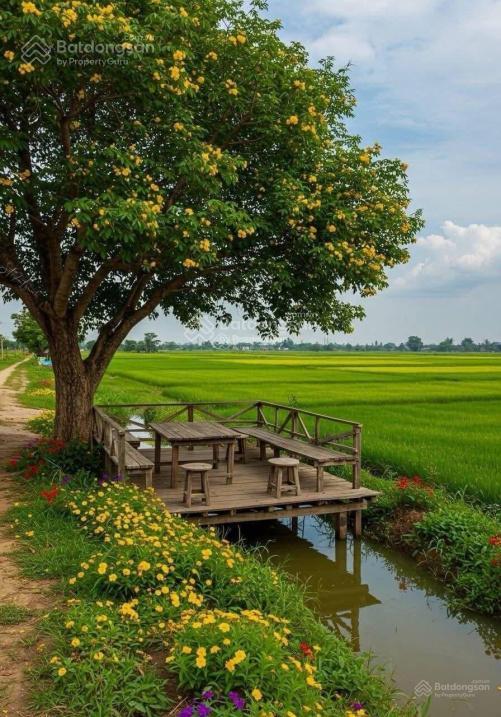 Bán đất tân nhựt 3100m2 giá chỉ 16 tỷ, ngay mặt đường d3, chốt ngay kẻo lỡ