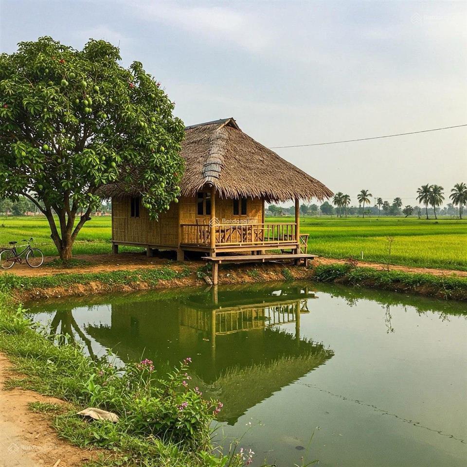 Bán đất tân nhựt 3100m2 giá chỉ 16 tỷ, ngay mặt đường d3, chốt ngay kẻo lỡ