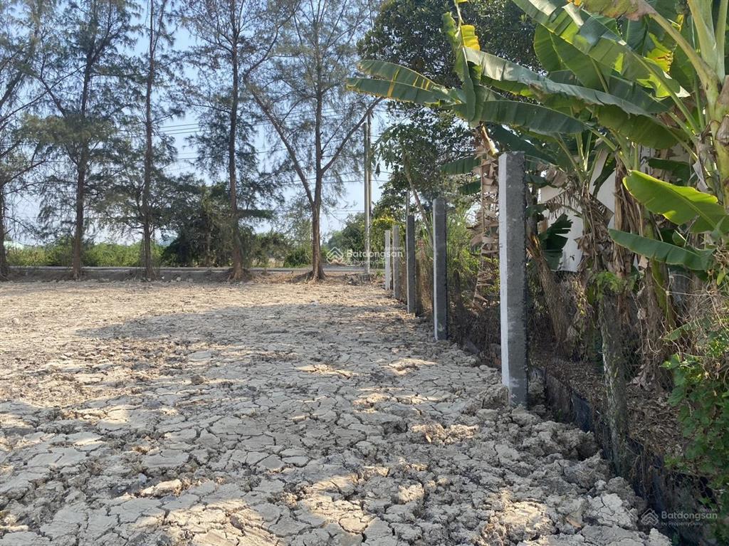 Bán 1000m2 đất d3 tân nhựt giá siêu tốt, đầu tư ngay