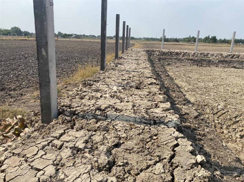 Bán 1000m2 đất d3 tân nhựt giá siêu tốt, đầu tư ngay