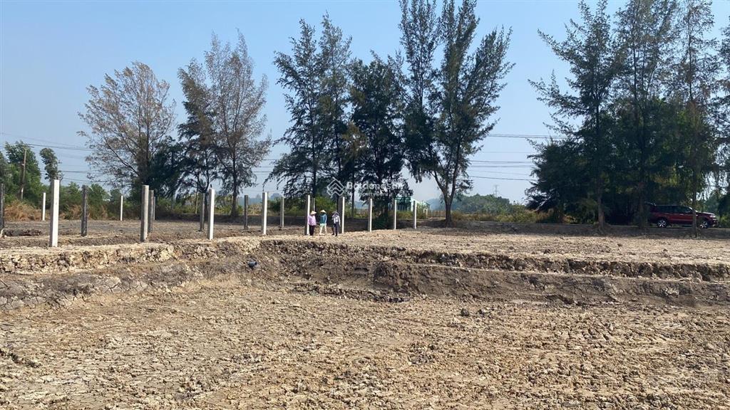 Bán 1000m2 đất d3 tân nhựt giá siêu tốt, đầu tư ngay