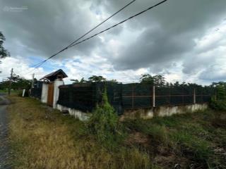 Chủ gởi bán nhà vườn 576,3m2 lô góc siêu đẹp