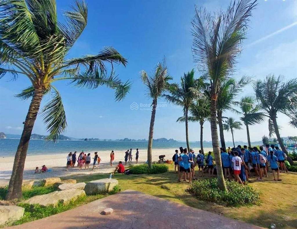 Cắt lỗ lô góc 2mt trục thông biển gần nhà hàng hồng hạnh, ks diamond, dt 140,75m², giá 5,5 tỷ