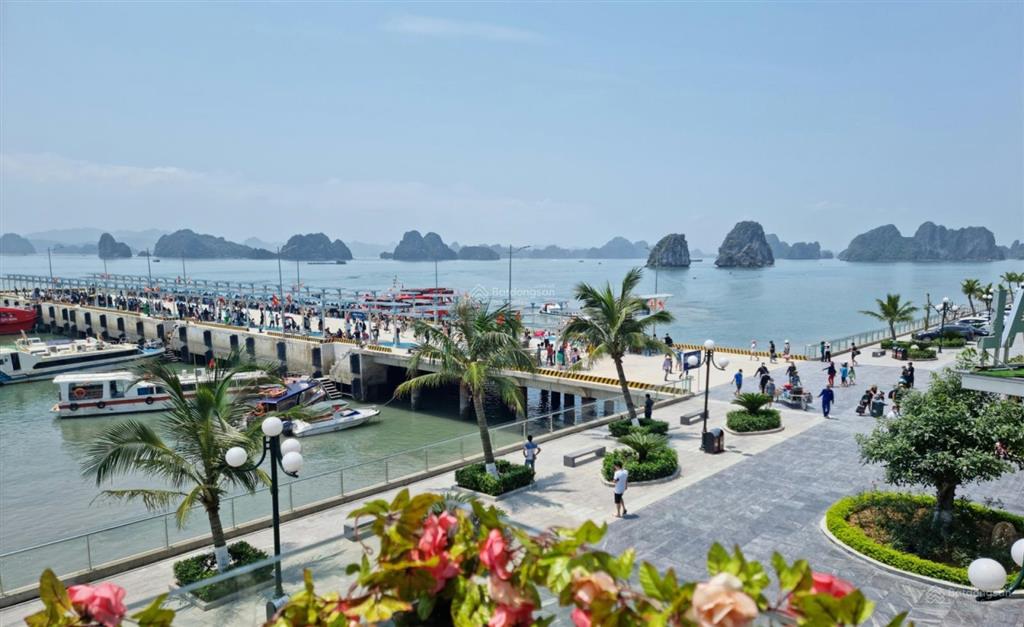 Đất nền mặt sông nhân tạo, đất liền kề dự án ao tiên, dt 144m2, mt 6m, đông nam, giá 51 triệu/m2