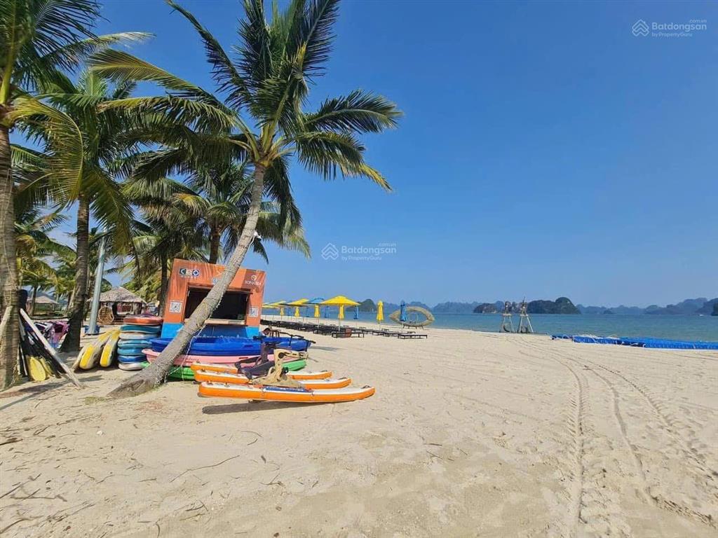 Liền kề sổ vĩnh viễn view công viên sonasea, đối diện khách sạn, dt 95m2, giá 7 tỷ cả xây