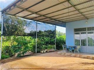 Bán nhà vườn 1288m2 sẵn 40 cây sầu riêng đang cho thu hoạch giá chỉ 1,85tỷ tại hàng gòn, long khánh