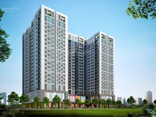 Cho thuê căn hộ chung cư hoành sơn complex, 65m2, 2pn, 2wc