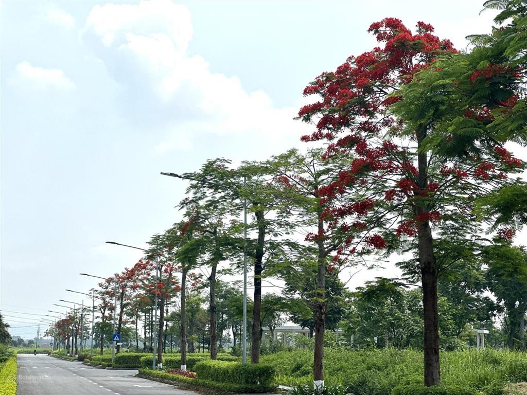 Gia đình cần bán nhà phố nv06, khu đô thị hud me linh central, giá tốt nhất