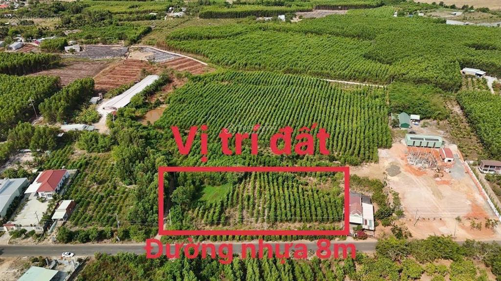 Chuyển nhượng lô đất 71m ngang mặt tiền đường nhựa ủy ban xã thắng hải, 6200m2