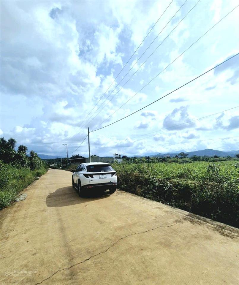 Đất phường 2 1027m2 có sẵn 200m2 thổ  ngang 15m đất bằng phẳng đẹp  giá 3,5ty làm nhà nhắn em