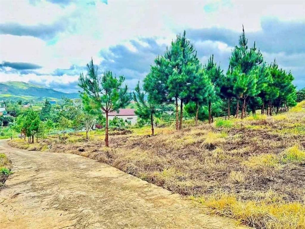 2214m2 có thổ cư ngang 20m view đẹp giá 2ty2 cho cả lô quá tốt làm nhà nghỉ dưỡng ạ