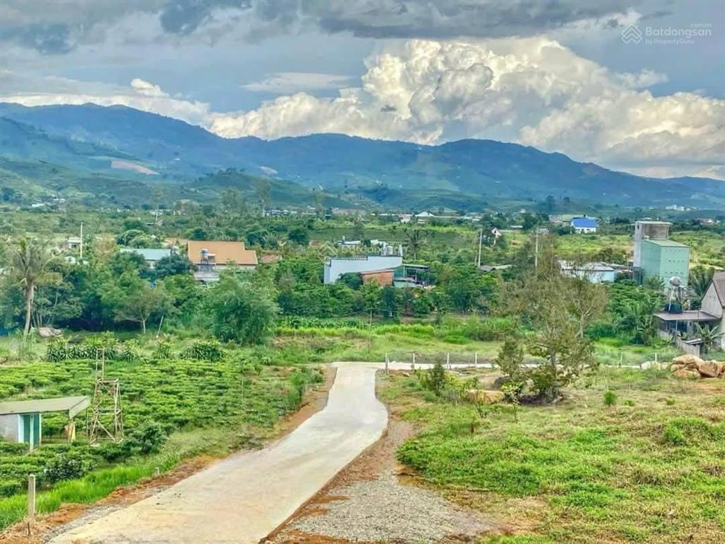 2214m2 có thổ cư ngang 20m view đẹp giá 2ty2 cho cả lô quá tốt làm nhà nghỉ dưỡng ạ