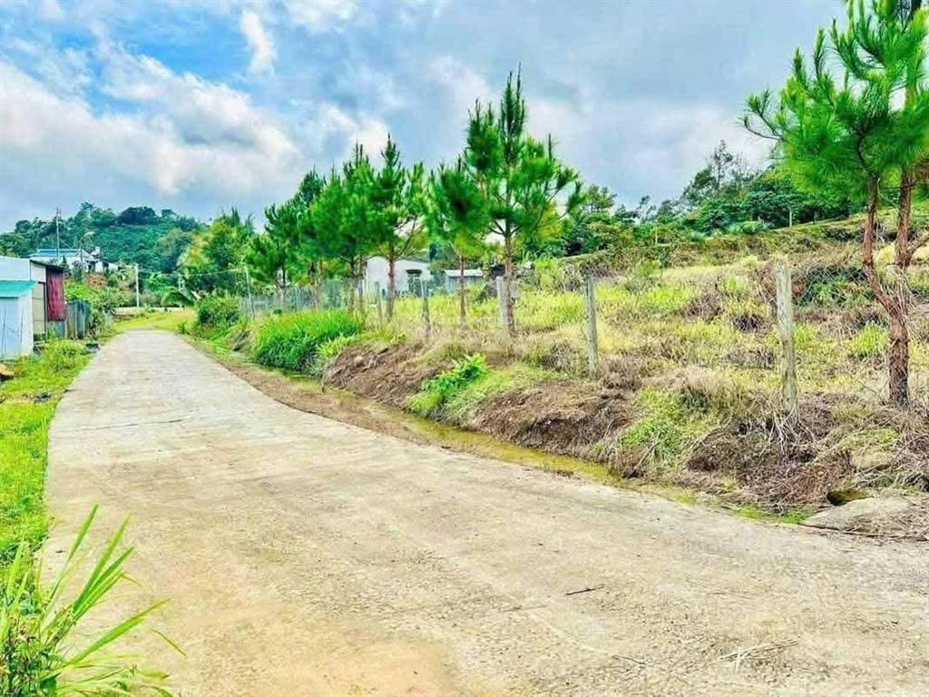 2214m2 có thổ cư ngang 20m view đẹp giá 2ty2 cho cả lô quá tốt làm nhà nghỉ dưỡng ạ